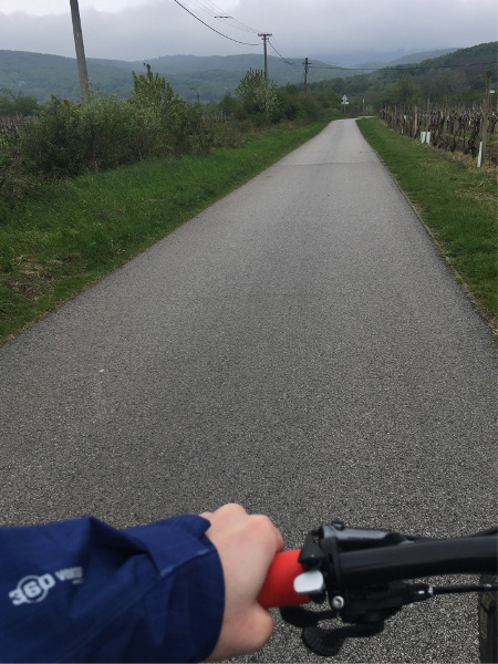 Svätojurský MTB maratón - trochu zimy ešte nikoho nezabilo 1