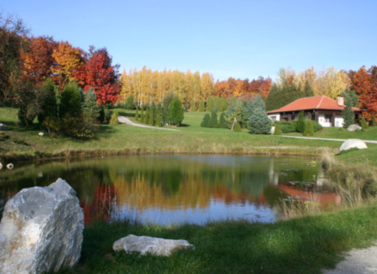 Arborétum Mlyňany