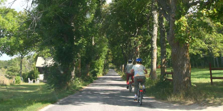 Gotland - cyklisti, cykloturistika vo Švédsku