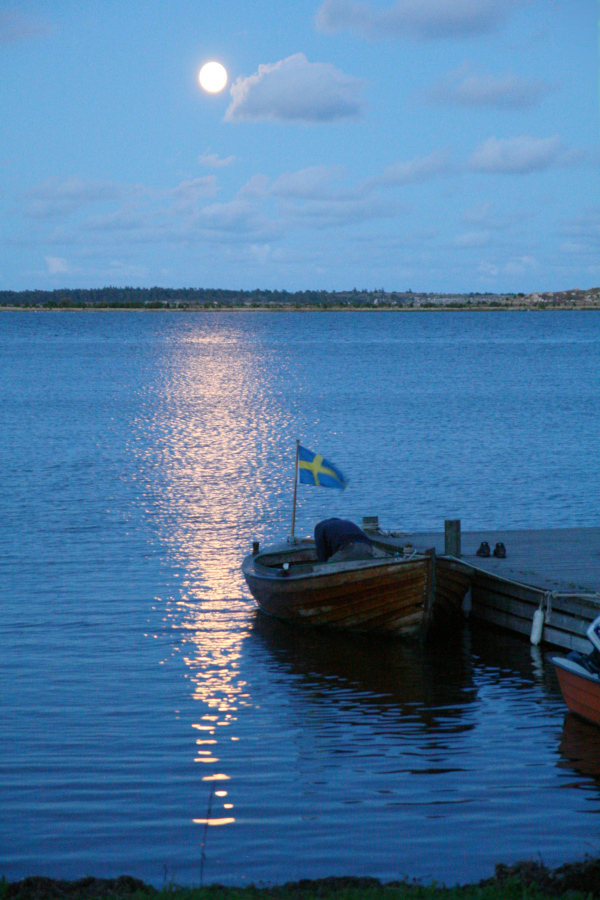 Gotland - poklad Vikingov v Baltskom mori 153