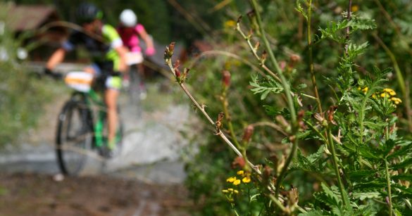 MTB maratón Horal 2019