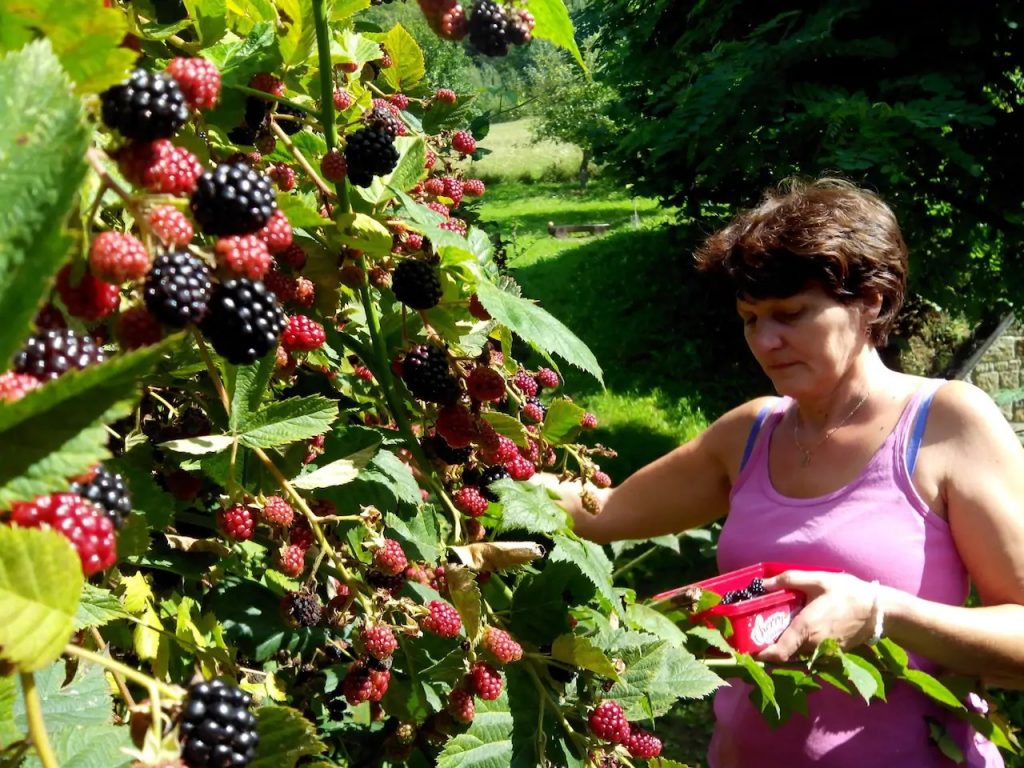 ubytovanie v Šiatorskej Bukovinke pri Fiľakove - príroda, agroturistika