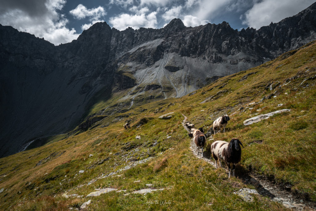 Venediger Höhenweg - dychberúci trek Vysokými Taurami 131