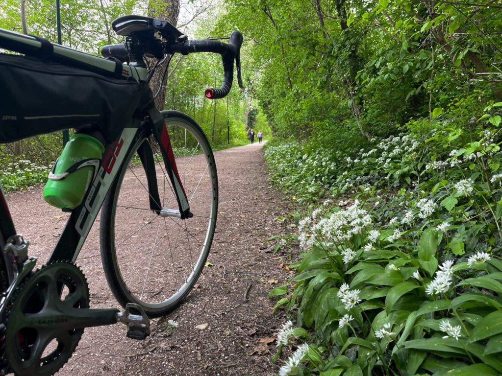 Donauradweg - naozaj je cyklotrasa z Passau do Bratislavy jednou z najkrajších v Európe? 51