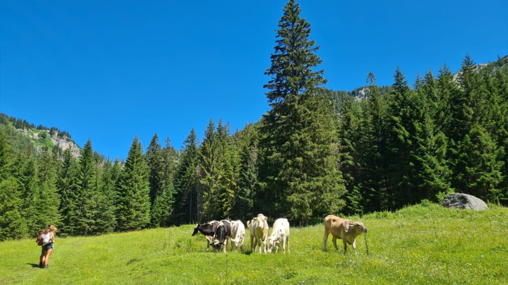 Kam na jednodňovú turistiku z Bratislavy? 21