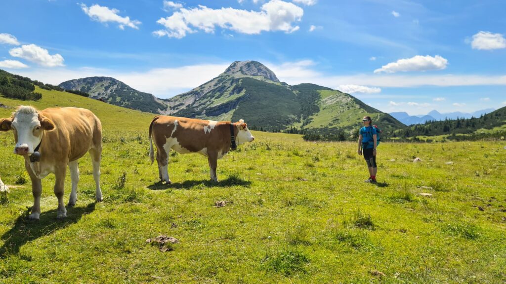 Kam na jednodňovú turistiku z Bratislavy? 40